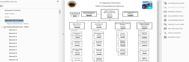Screenshot of PDF file showing the organization chart and the accessibility errors generated. Shows 3 document issues, 2 alternate text issues, and an uncounted number of alternate text issues (10 are visible in the screenshot).
